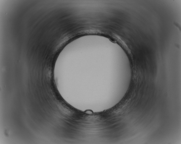 X0000098050063200804251114