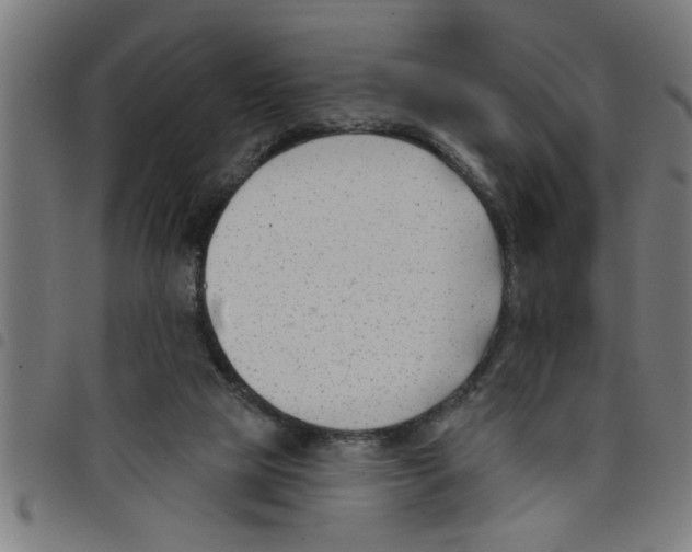 X0000098050065200804251114