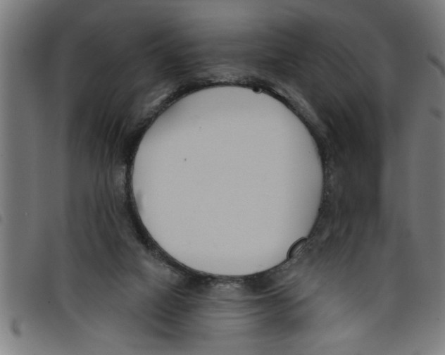 X0000098050066200804251114