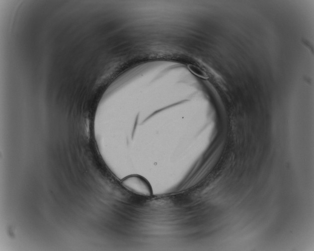 X0000098050067200804251114