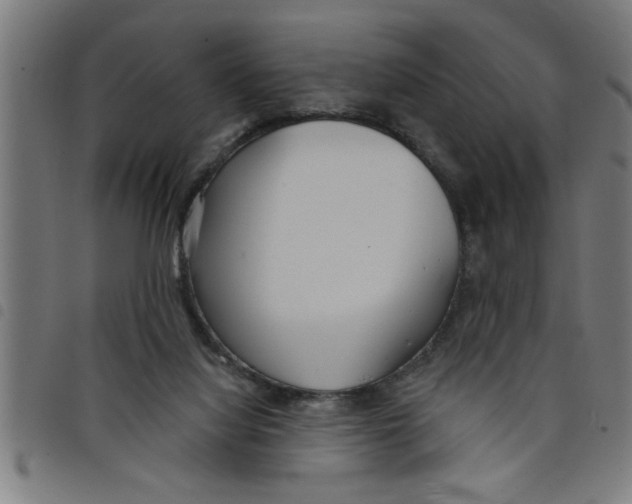 X0000098050068200804251114
