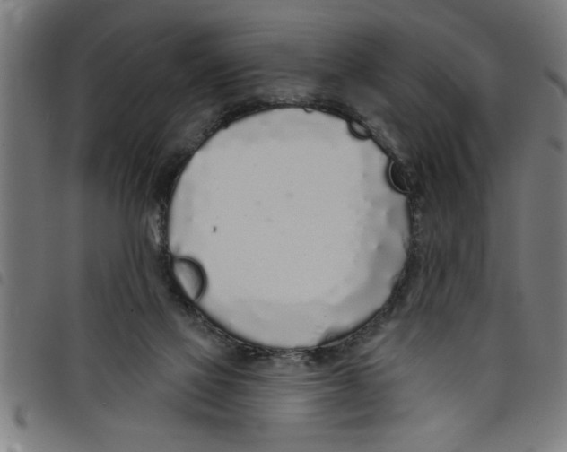 X0000098050069200804251114