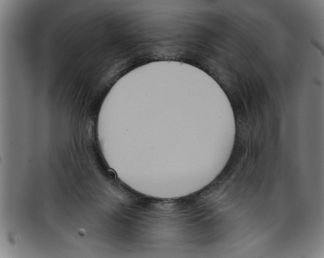 X0000098050071200804251114