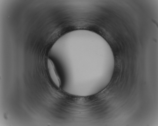 X0000098050074200804251114