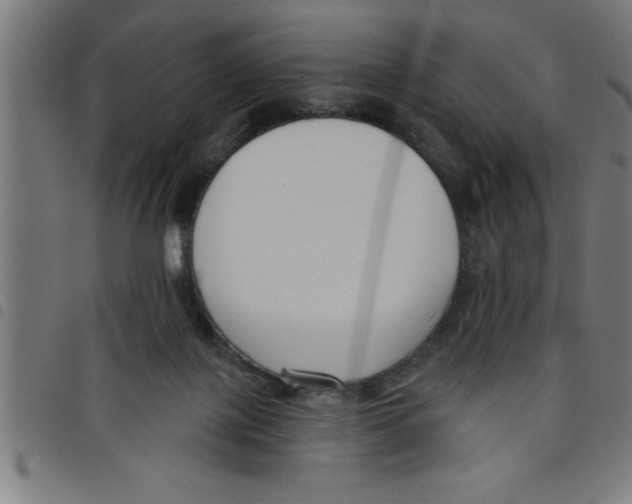 X0000098050075200804251114