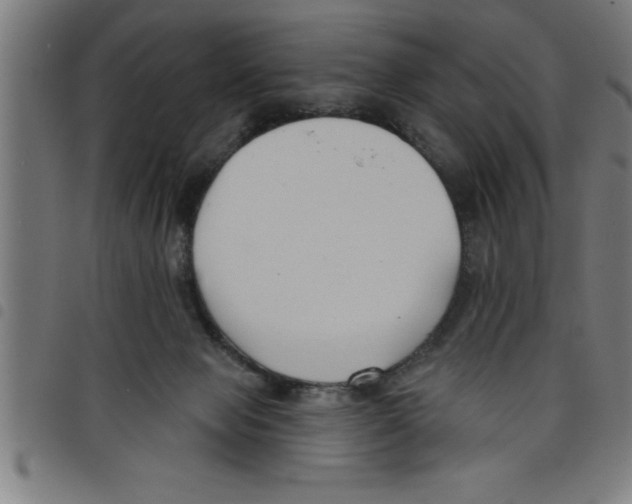 X0000098050077200804251114