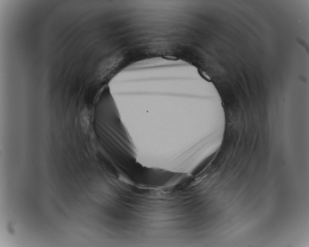X0000098050080200804251114