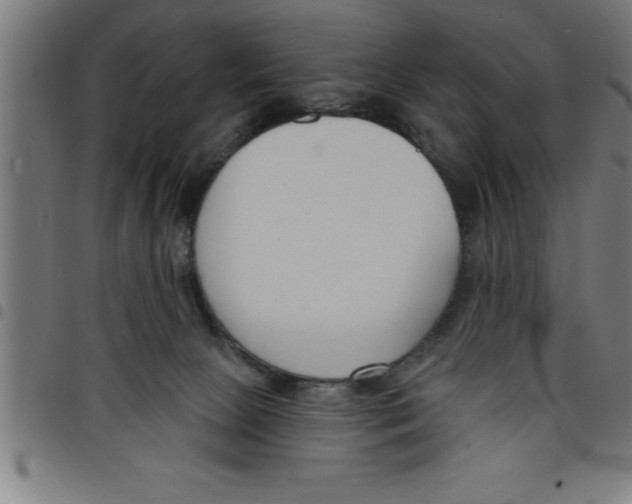 X0000098050081200804251114