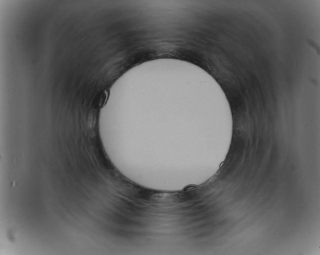 X0000098050082200804251114
