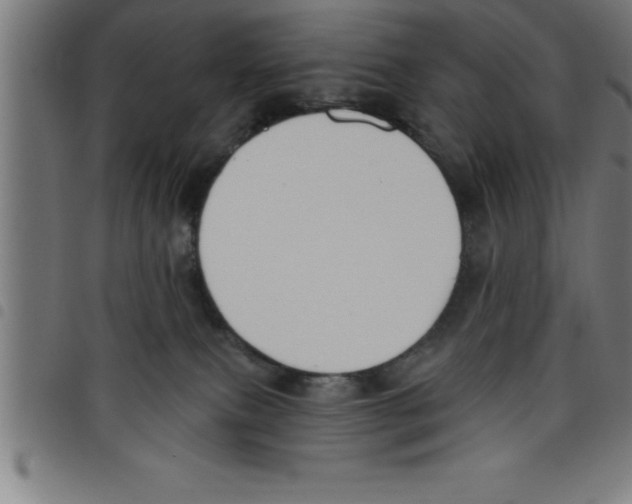 X0000098050087200804251114