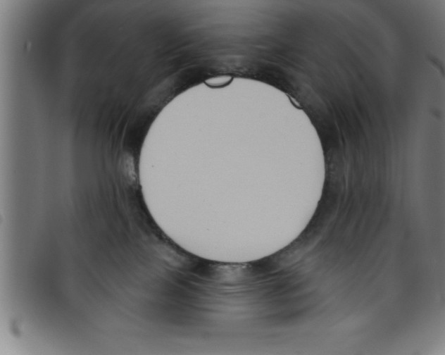 X0000098050089200804251114