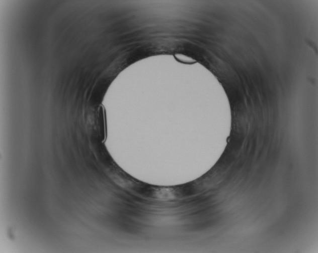 X0000098050091200804251114