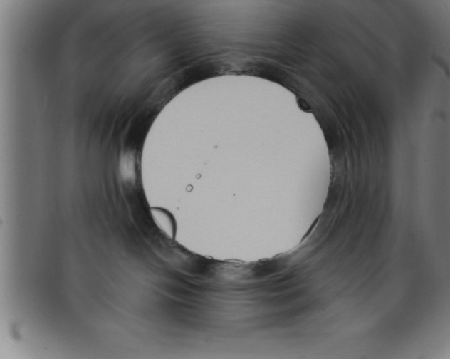 X0000098050094200804251114