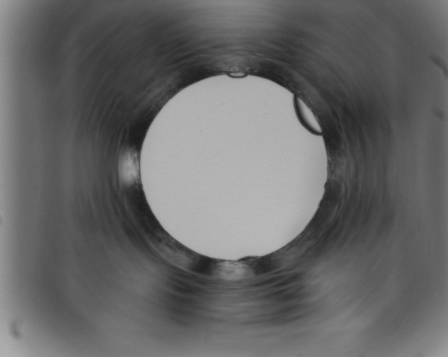 X0000098050095200804251114
