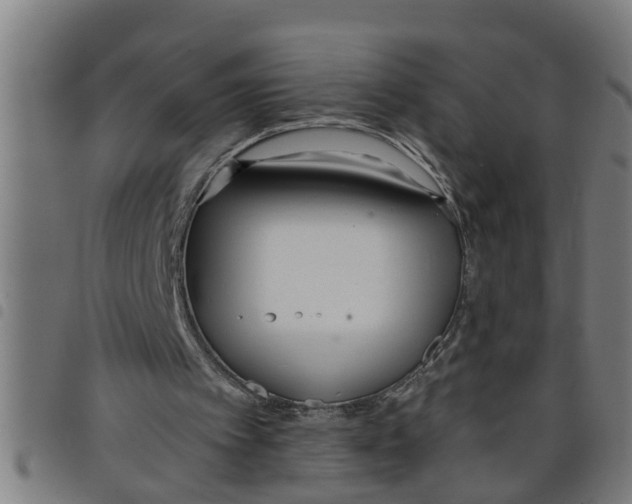 X0000098050097200804251114