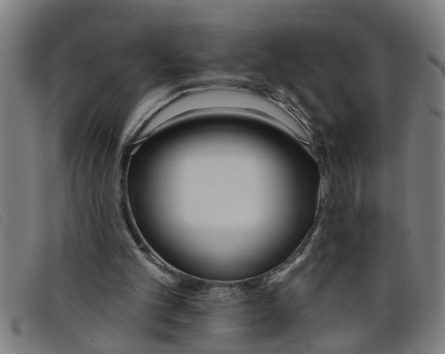 X0000098050101200804251114