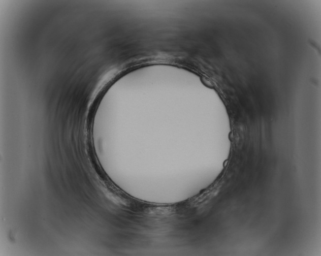 X0000098050102200804251113