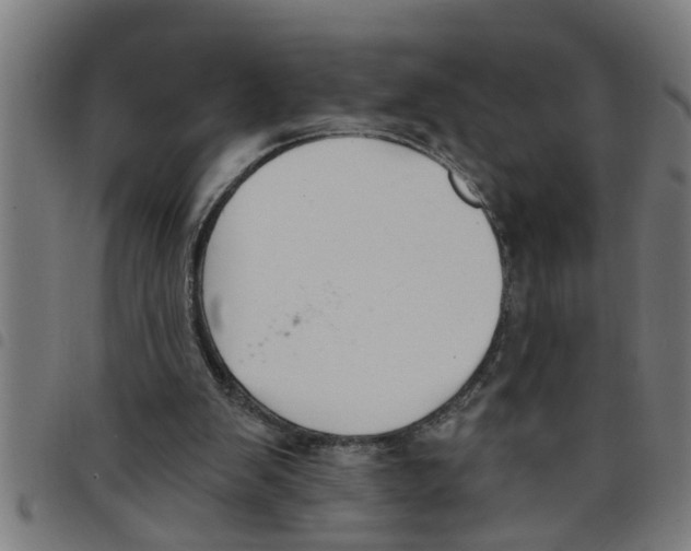 X0000098050103200804251113