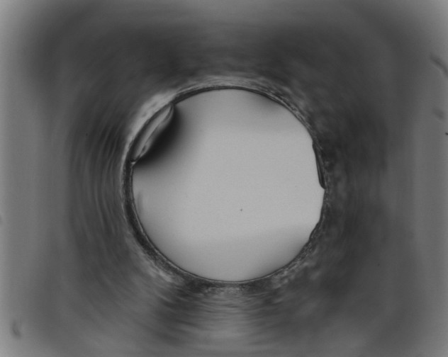 X0000098050104200804251113