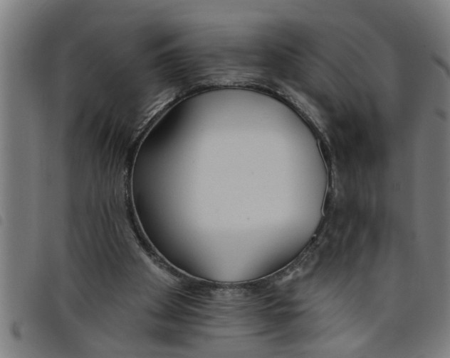 X0000098050105200804251113