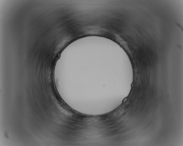 X0000098050106200804251113