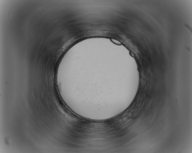 X0000098050107200804251113