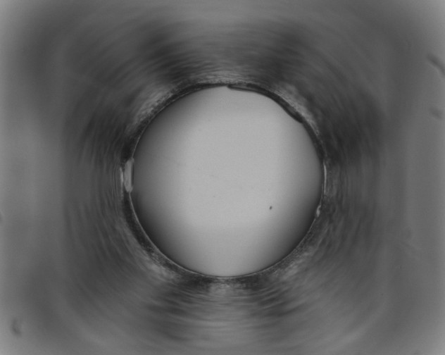 X0000098050109200804251113