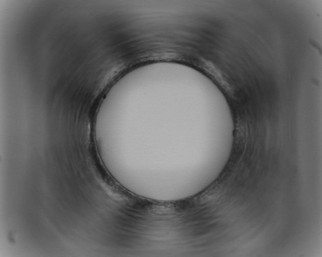 X0000098050110200804251113