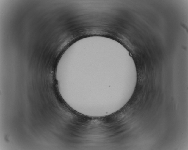 X0000098050111200804251113
