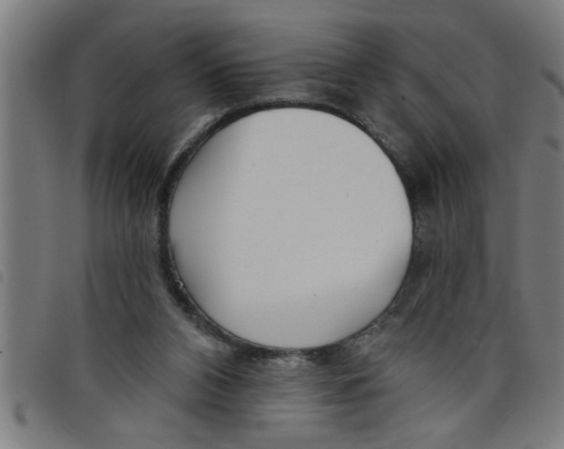 X0000098050112200804251113