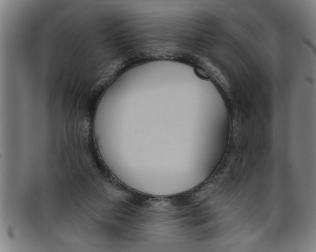 X0000098050113200804251113
