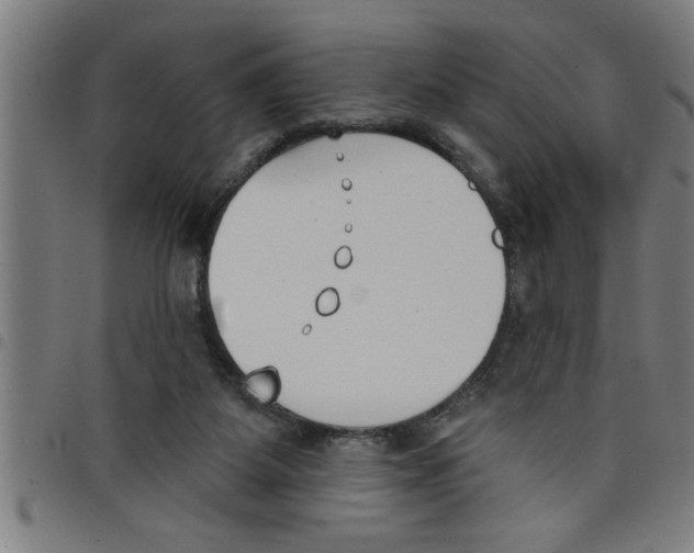 X0000098050115200804251113