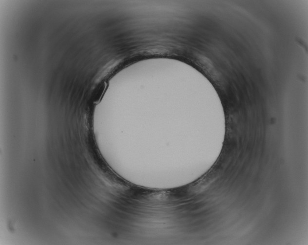 X0000098050116200804251113