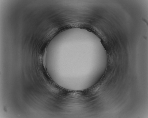 X0000098050117200804251113