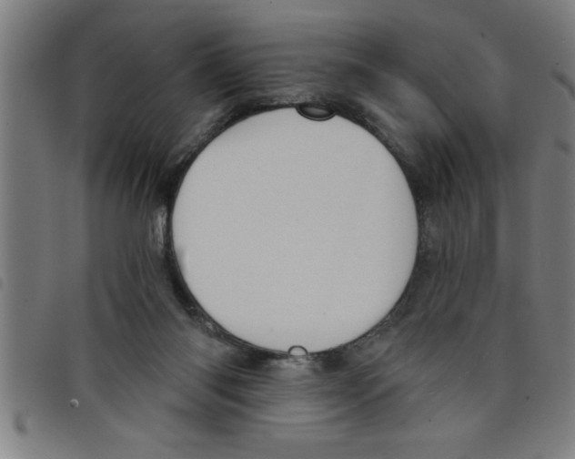X0000098050118200804251113