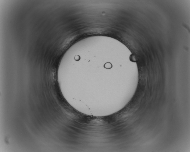 X0000098050119200804251113