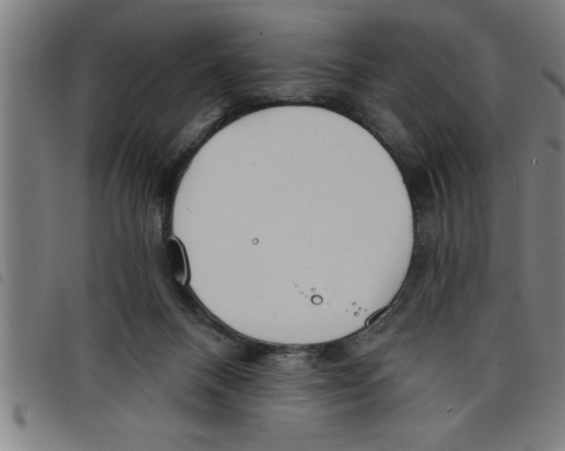 X0000098050120200804251113