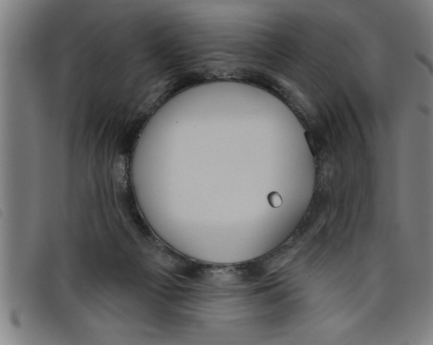 X0000098050121200804251113