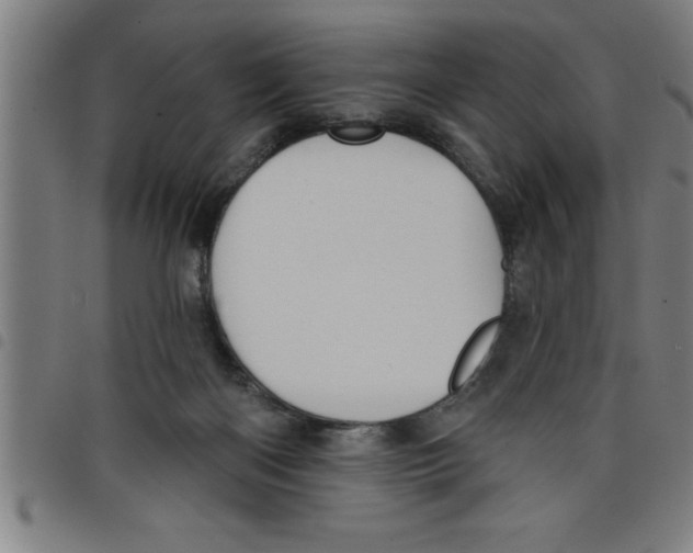 X0000098050122200804251113