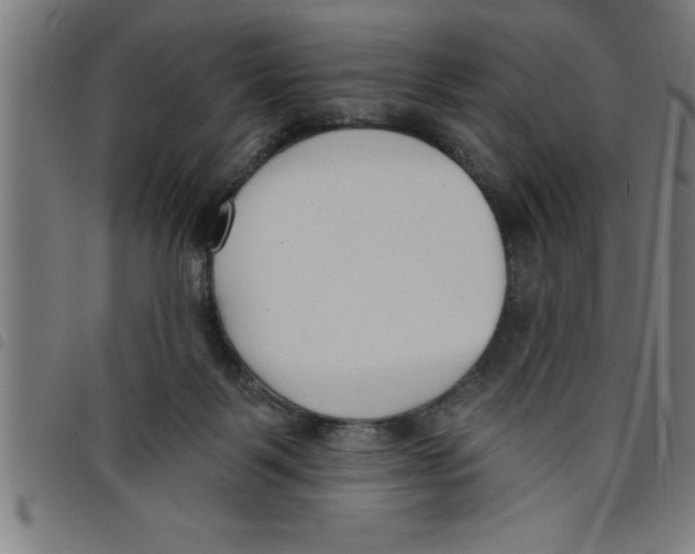 X0000098050123200804251113