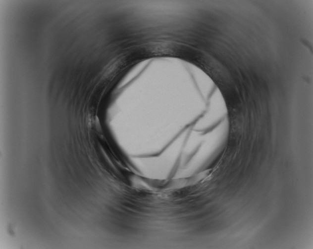 X0000098050124200804251113