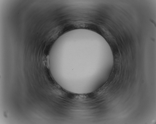 X0000098050125200804251113