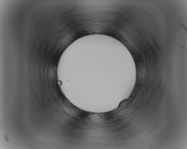X0000098050126200804251113