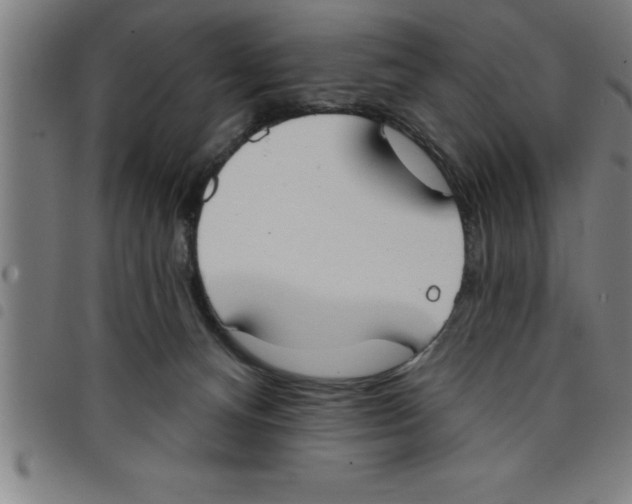 X0000098050128200804251113