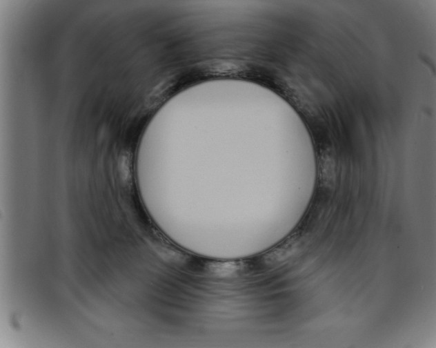 X0000098050131200804251113