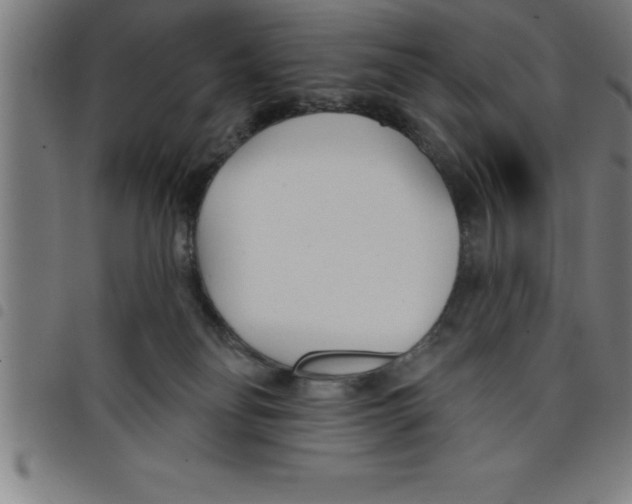 X0000098050134200804251113