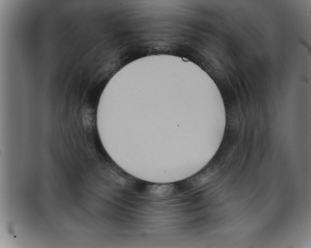X0000098050135200804251113