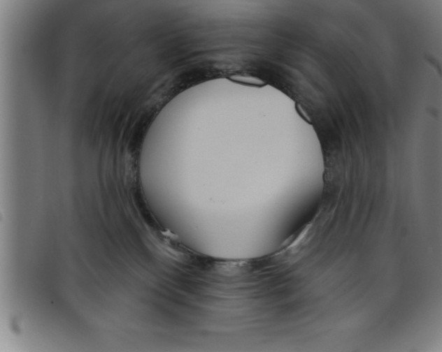 X0000098050136200804251113