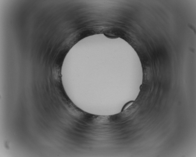 X0000098050138200804251113