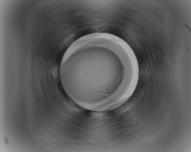 X0000098050139200804251113